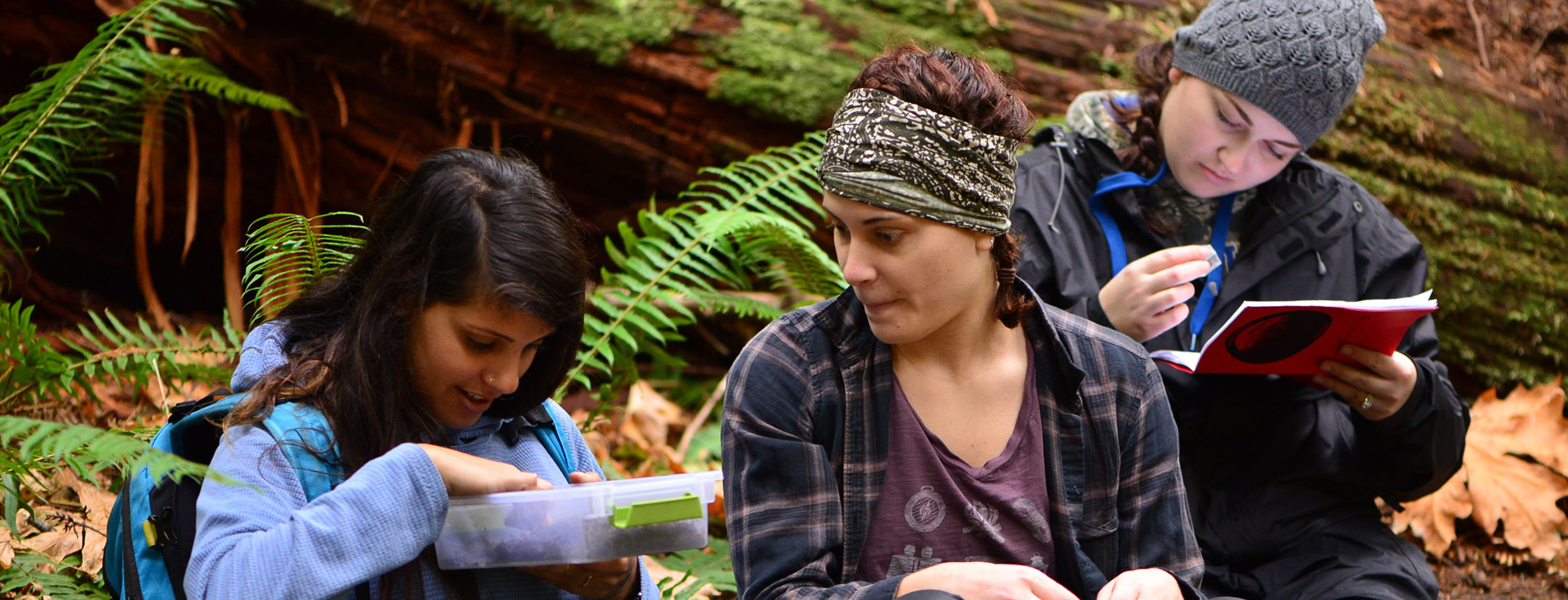 Mount Rainier Institute Education Programs